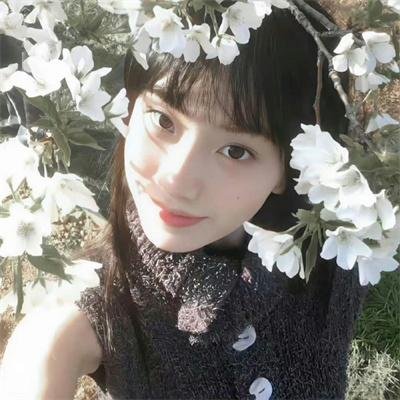 哈莱姆的郁金香